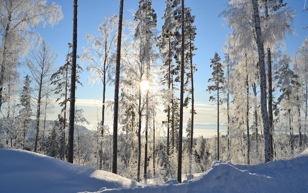 Riihivuori Cottages Muurame Chambre photo
